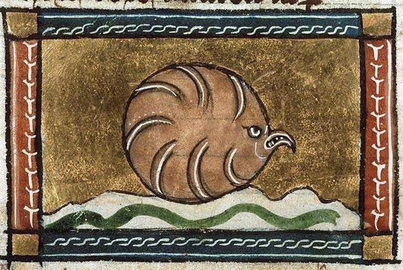 Angry oyster. Jacob van Maerlant, Der Naturen Bloeme, Flanders ca. 1350. Den Haag, Koninklijke Bibliotheek, KA 16, fol. 108v.
#medieval #MedievalArt