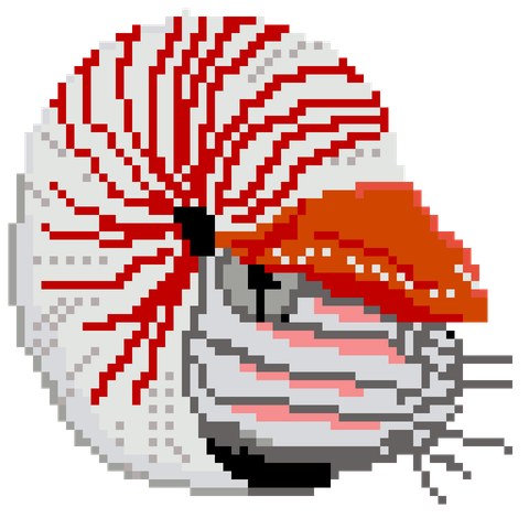 ドット絵で描いたオオベソオウムガイ
