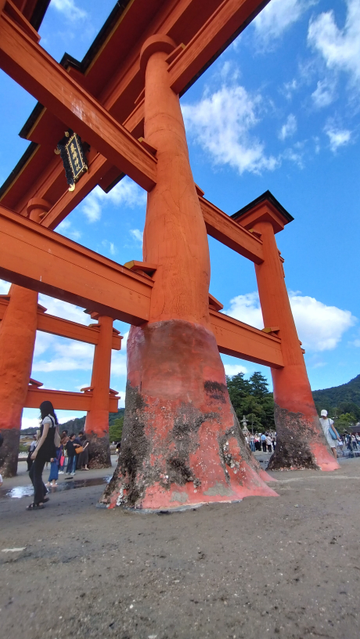 鳥居の柱の根元周り