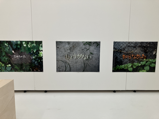 短いフレーズが風景に配置されている写真三葉。フレーズは、左から「忘れちゃった」「しょうがない」「知らなかった」。それぞれ、文字は野菜で作られているらしい。
